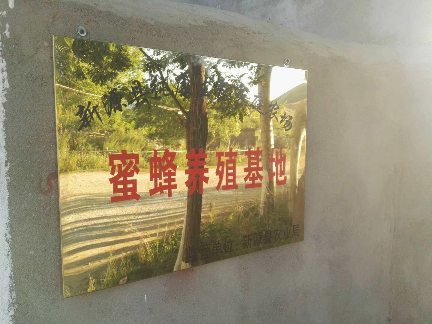 新源县《纯康生态家庭农场》蜜蜂养繁殖基地挂牌成立